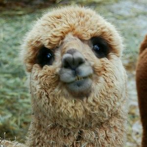 Meet your Posher, Sabrina